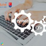 Is Python the Right Choice for Enterprise Data Analysis?