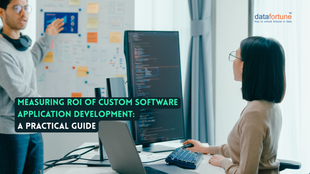 Software Application Development | Datafortune